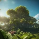 Forest Valley