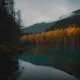 Meadow Ocean