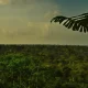 River Desert