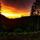 River Valley