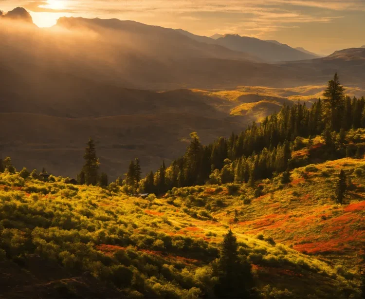Sunset Essence