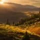 Sunset Essence