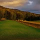 Sunset Forest